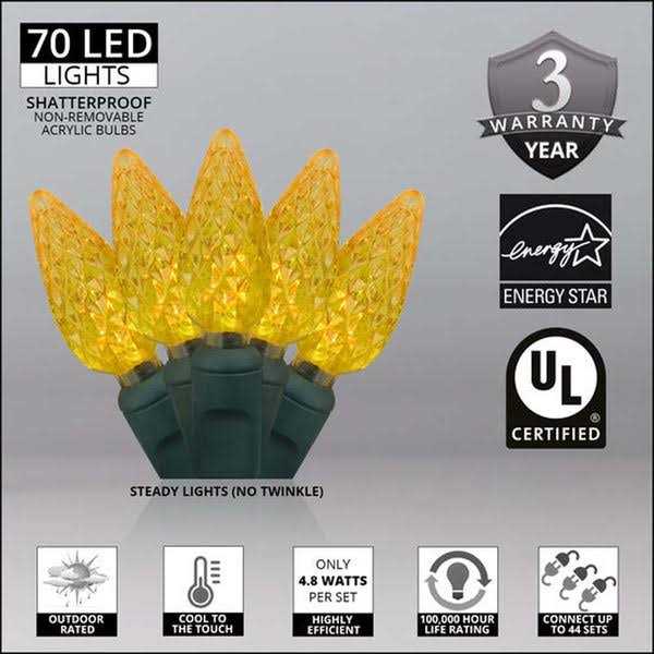 Wintergreen Lighting 25 LED Christmas Lights
