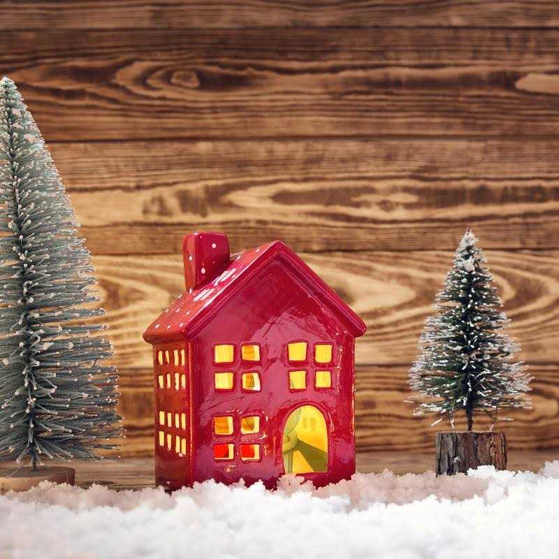 Westinghouse 28547 1-Bulb C7 Replacement Cord