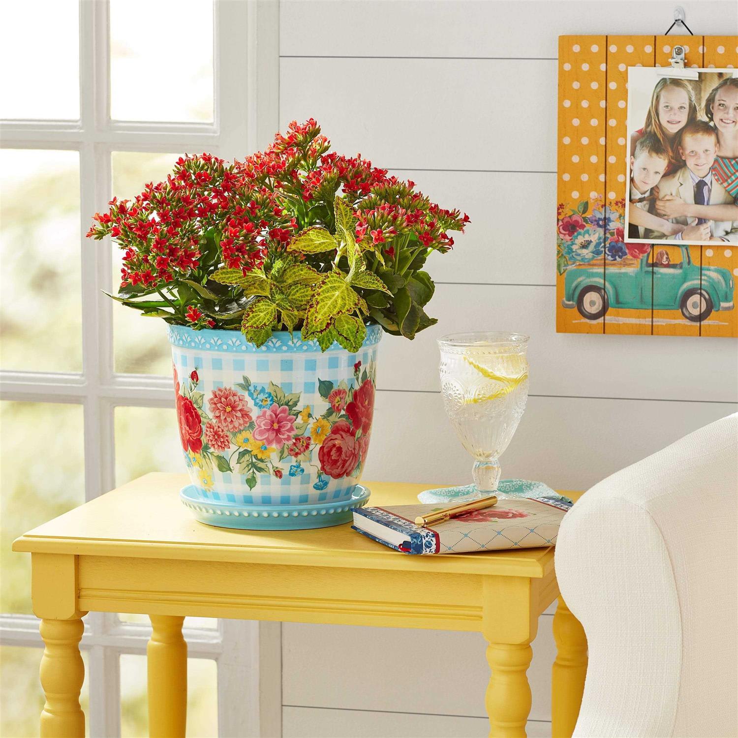 The Pioneer Woman Sweet Rose Gingham Planter