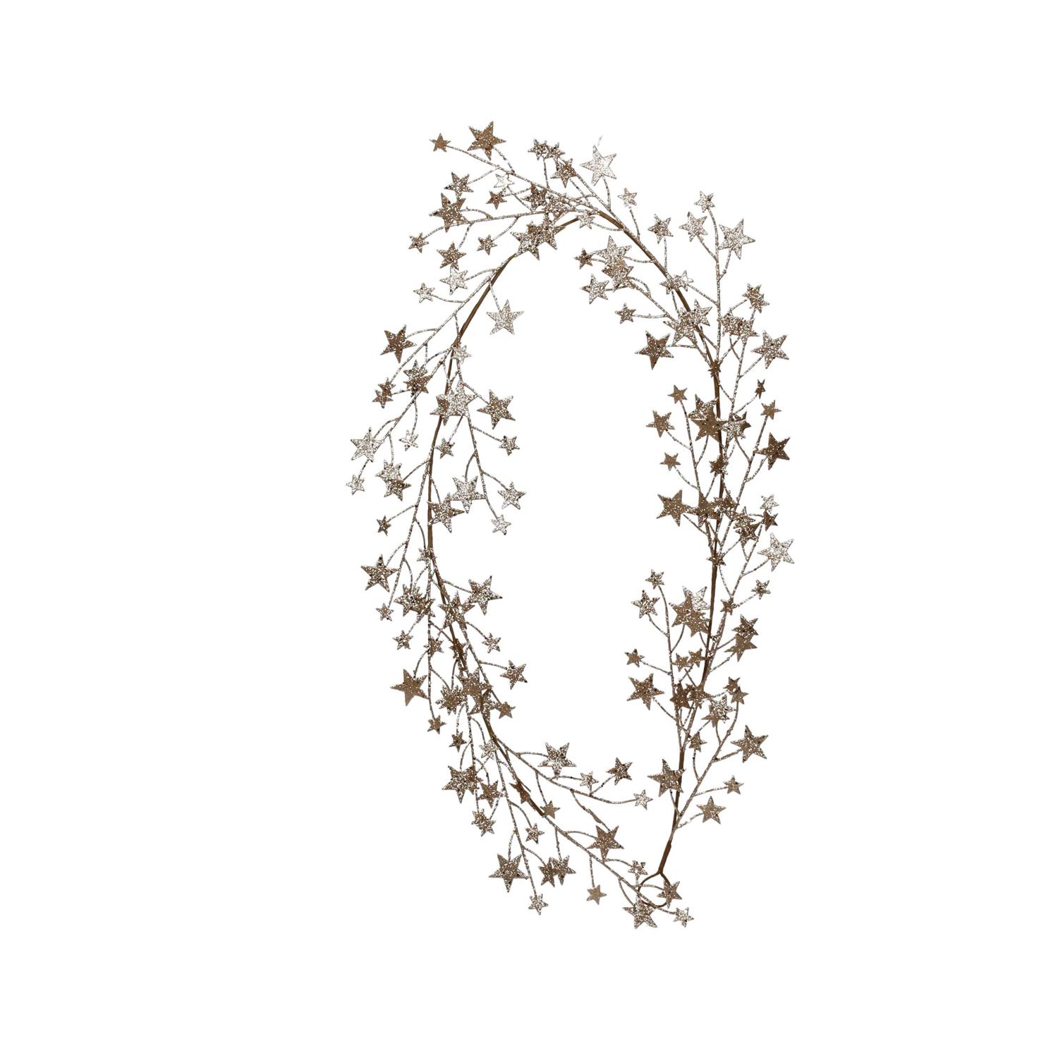 6Ft Metallic Star Garland by Ashland