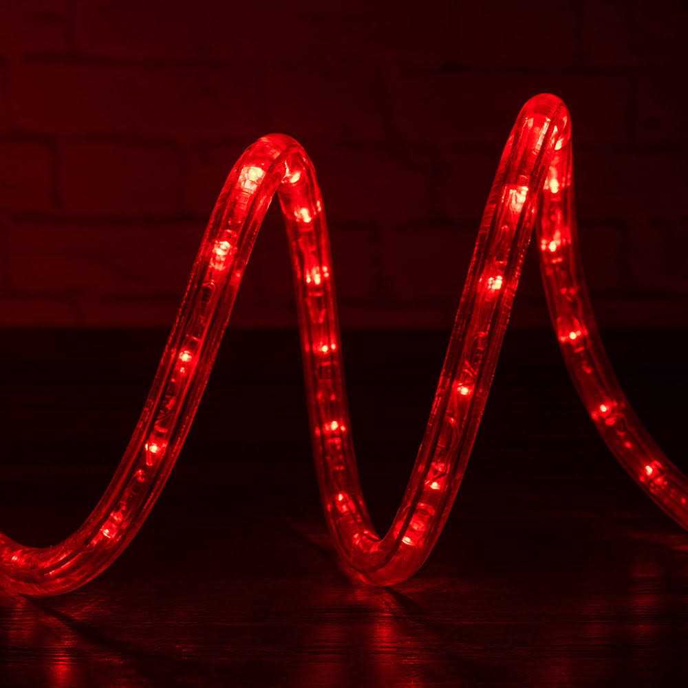Wyzworks LED Rope Lights