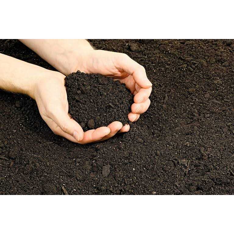 Vermont Compost Company Fort Vee Potting Mix