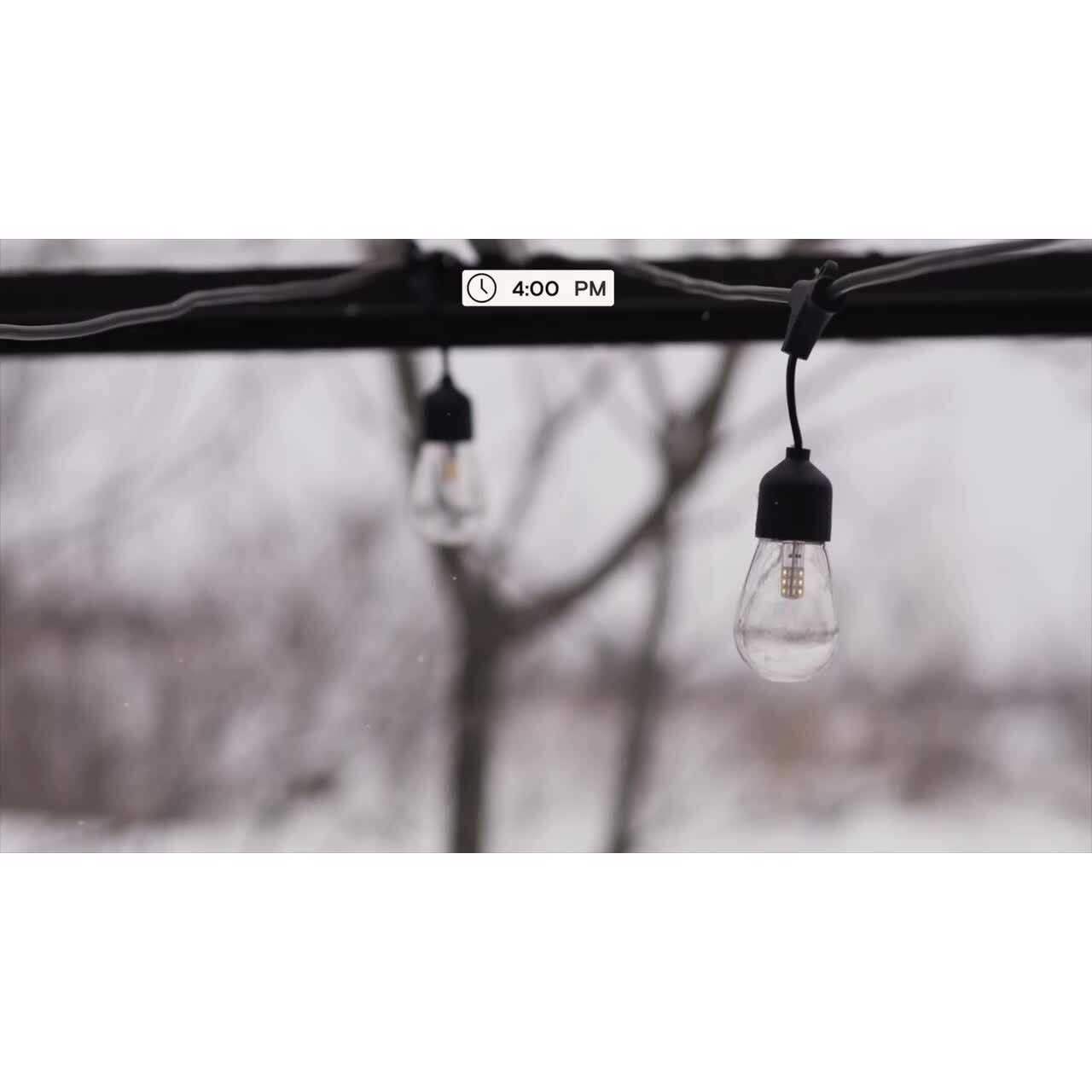 Brightech Ambience Pro LED Outdoor String Lights