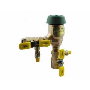 Apollo Bronze FIP Pressure Vacuum Breaker