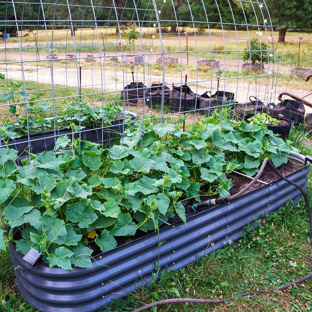 17&” Tall 8’x2′ Metal Modular Raised Garden Bed Kit