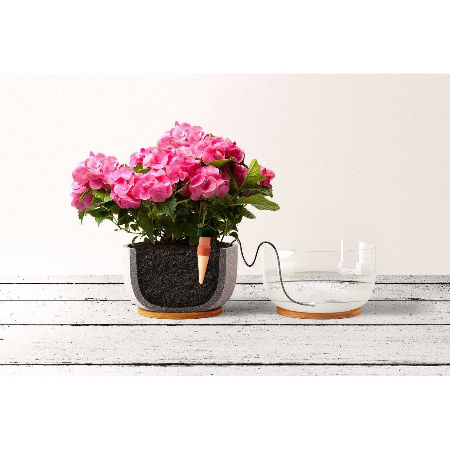 Blumat Plant Watering System