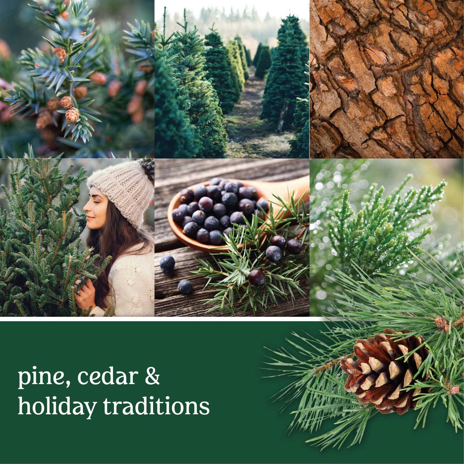 Yankee Candle Balsam & Cedar Signature Large Tumbler Candle