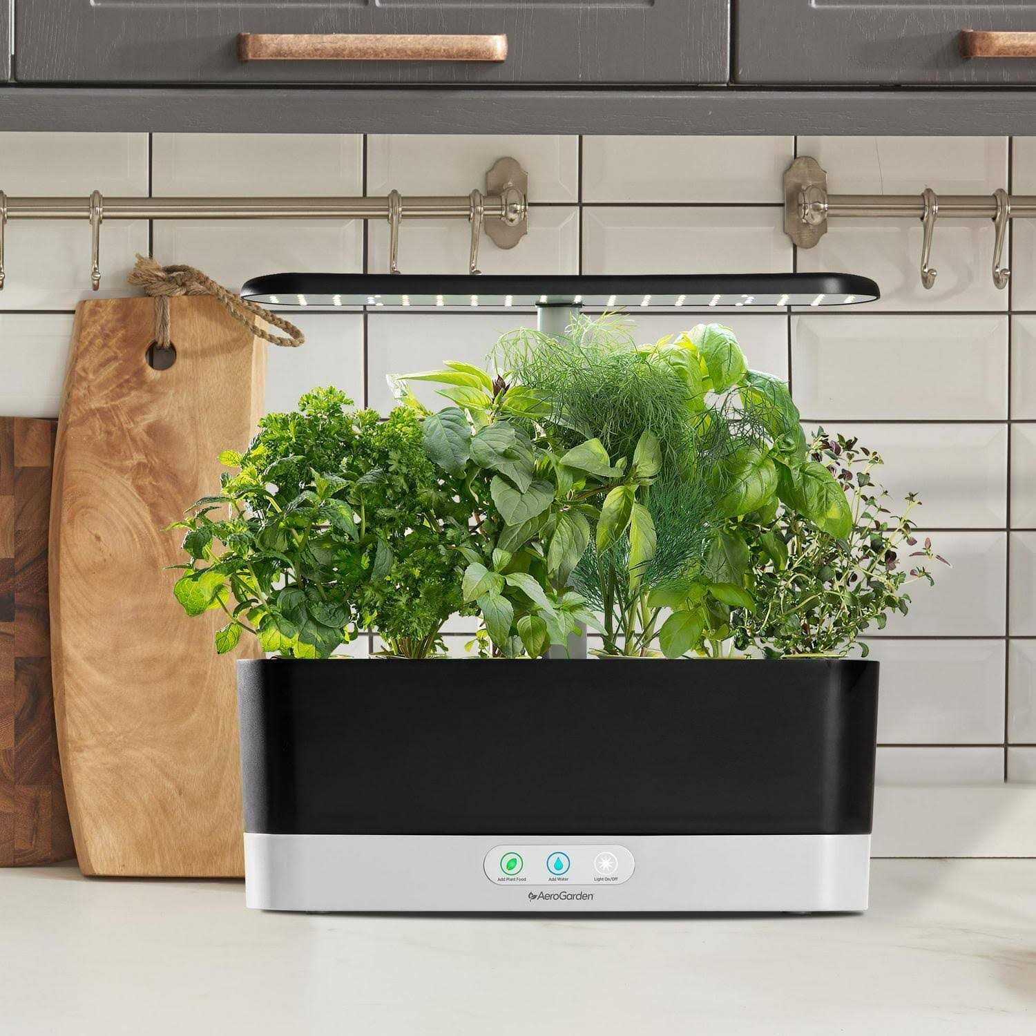 AeroGarden Harvest Slim with Gourmet Herb Seed Pod Kit