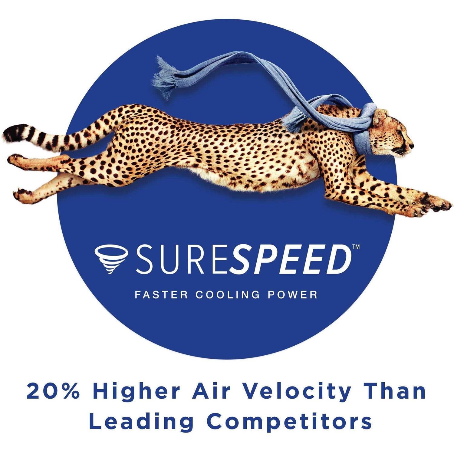 44 Hunter Kennicott Outdoor Ceiling Fan