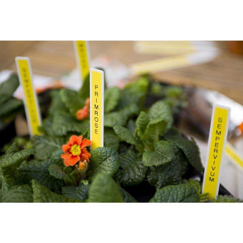 Brother P-Touch pt-d200g Home & Office Label Maker