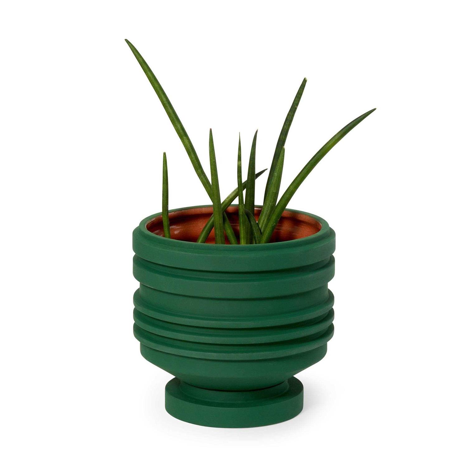 Areaware Strata Plant Vessel