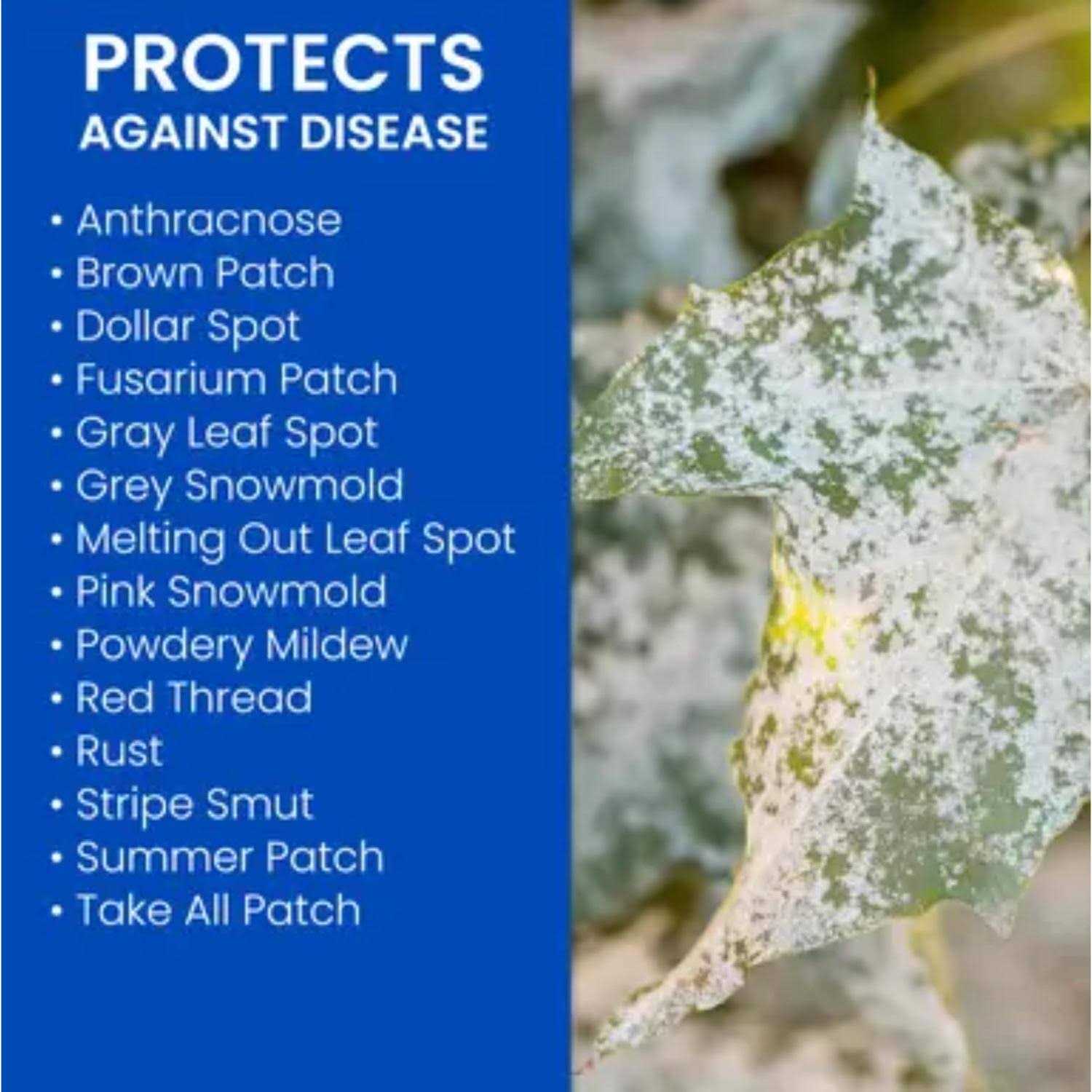 BioAdvanced Fungus Control For Lawns