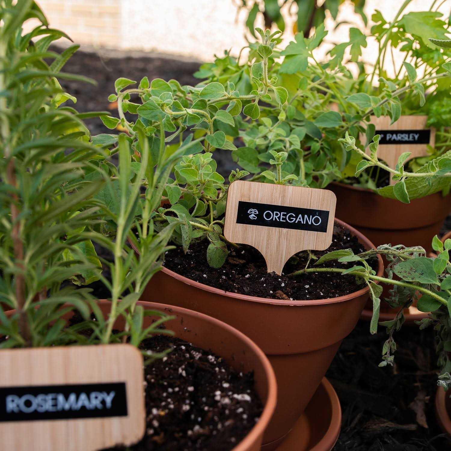 Brother P Touch Pro Label Maker PTH111