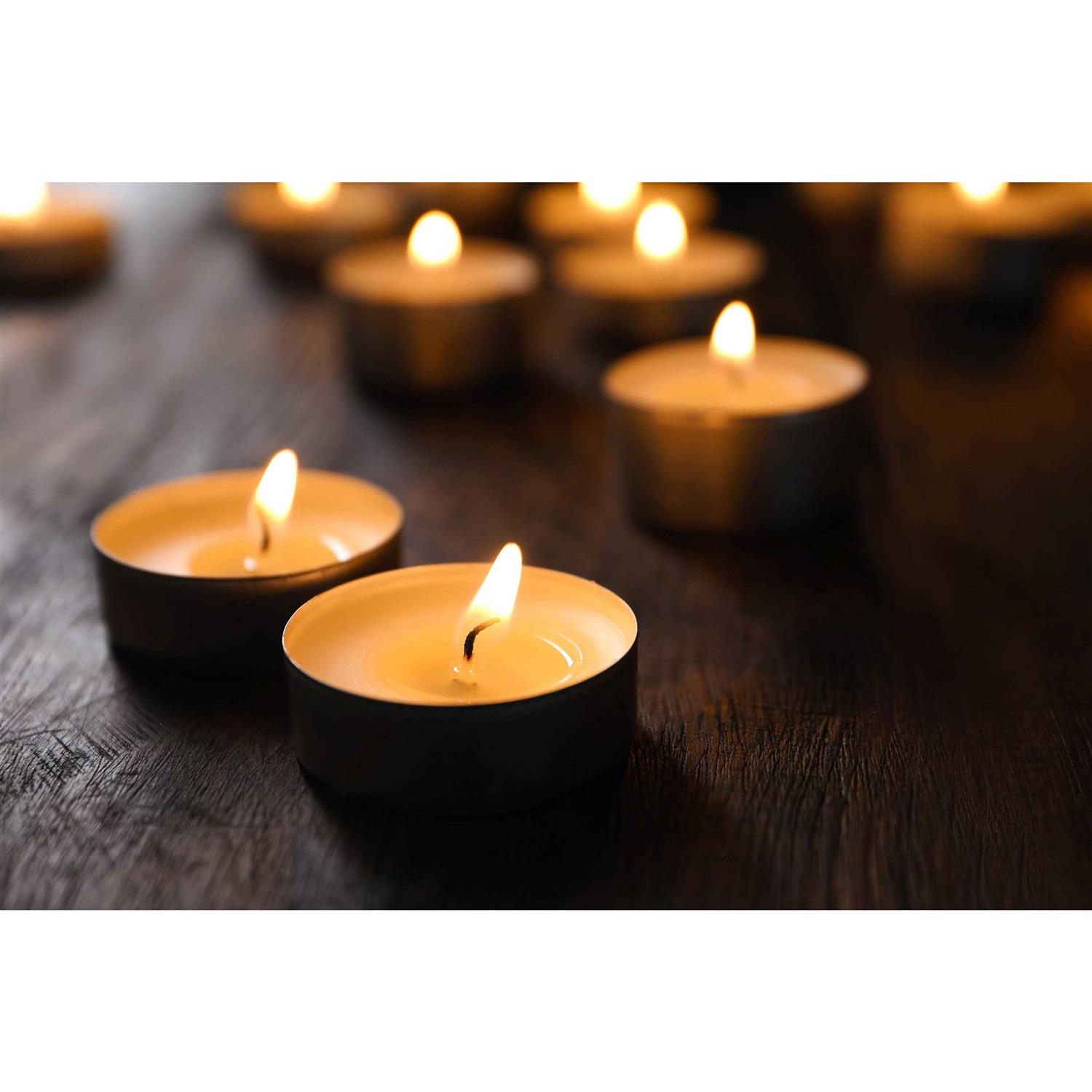 Amari White Unscented Indoor/Outdoor Tealight Candles