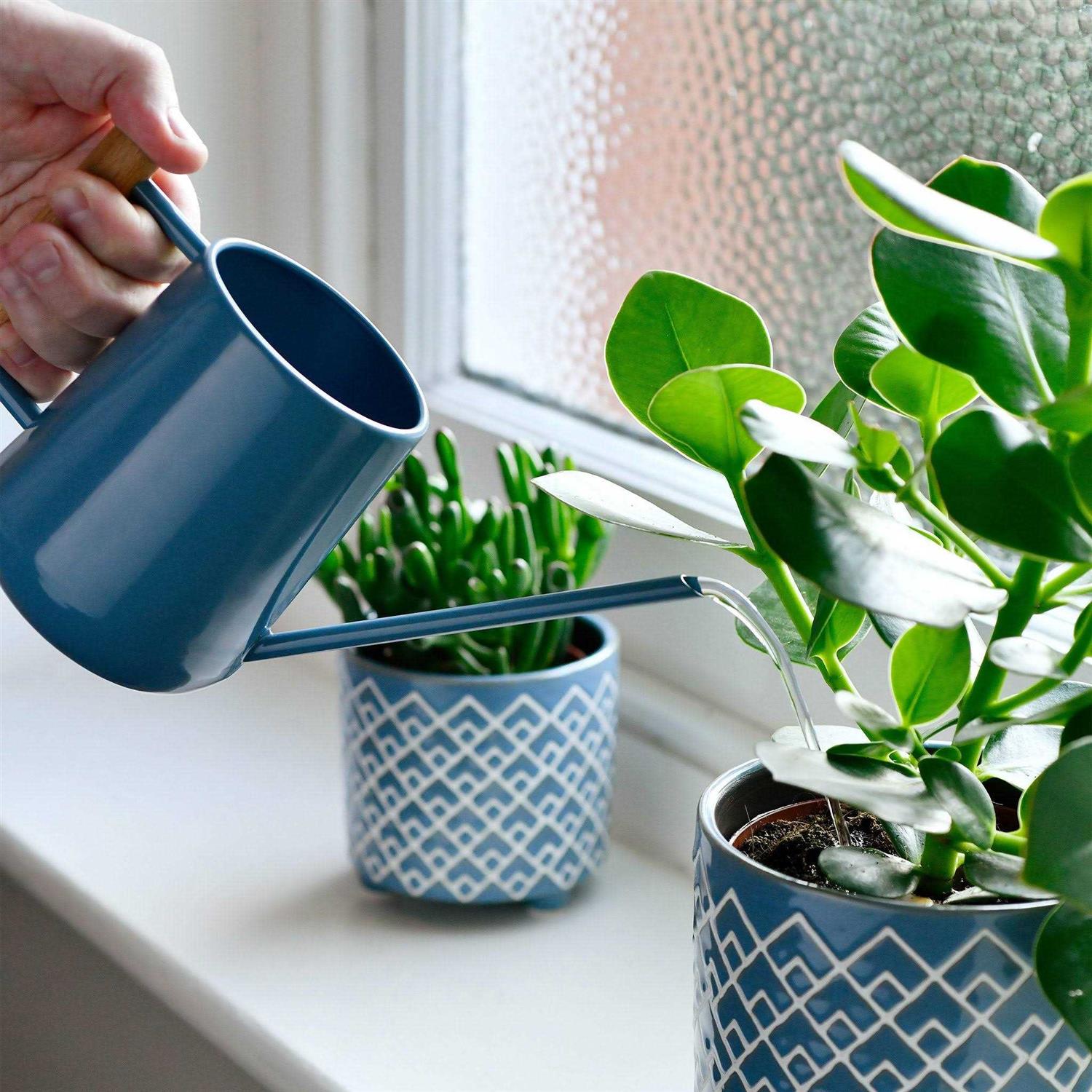Burgon Ball Indoor Watering Can