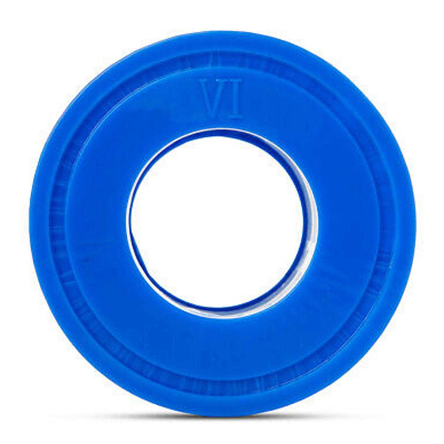 Bestway SaluSpa Type VI Iatable Hot Tub Replacement Filter Cartridge