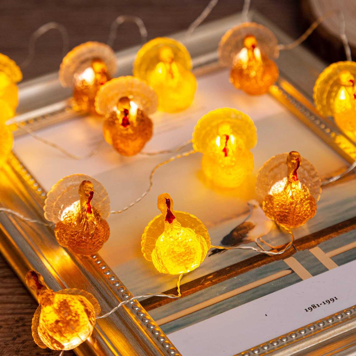 U.i Station Thanksgiving Turkey String Lights for Fall Harvest Theme