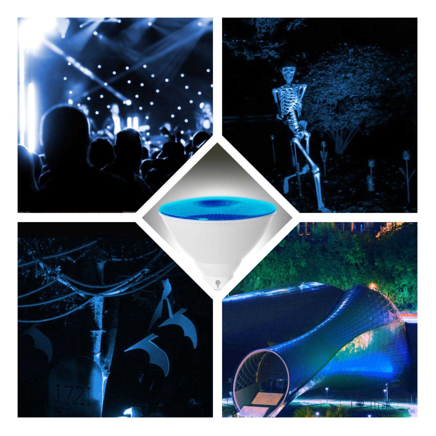 Bluex Bulbs 2 Pack BlueX LED Par38 Flood Light Bulb