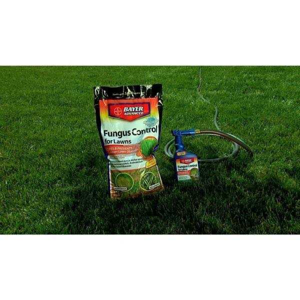 BioAdvanced Fungus Control For Lawns