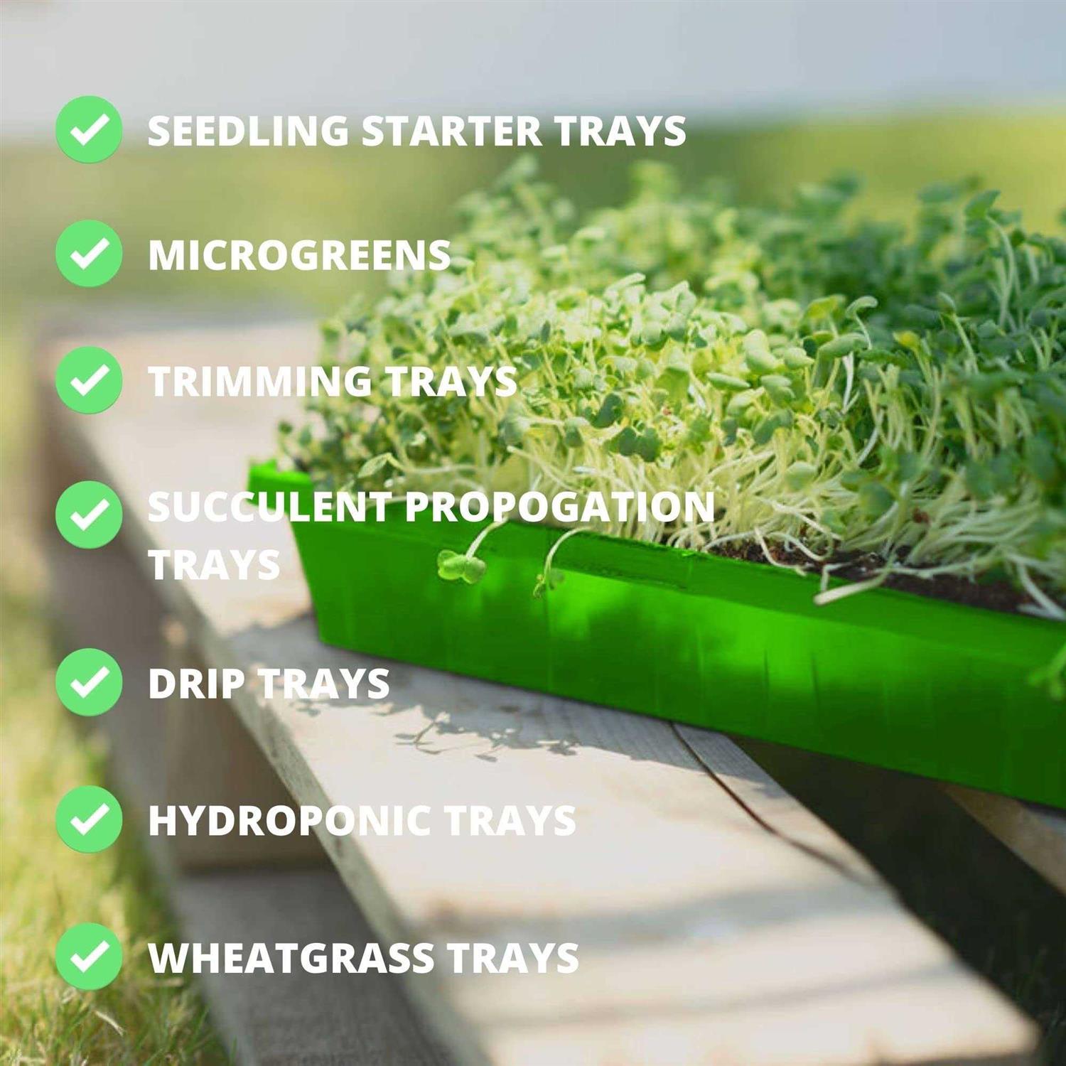 1020 Seed Starting Trays Plant Tray Microgreens Growing Trays Plastic Seed Trays