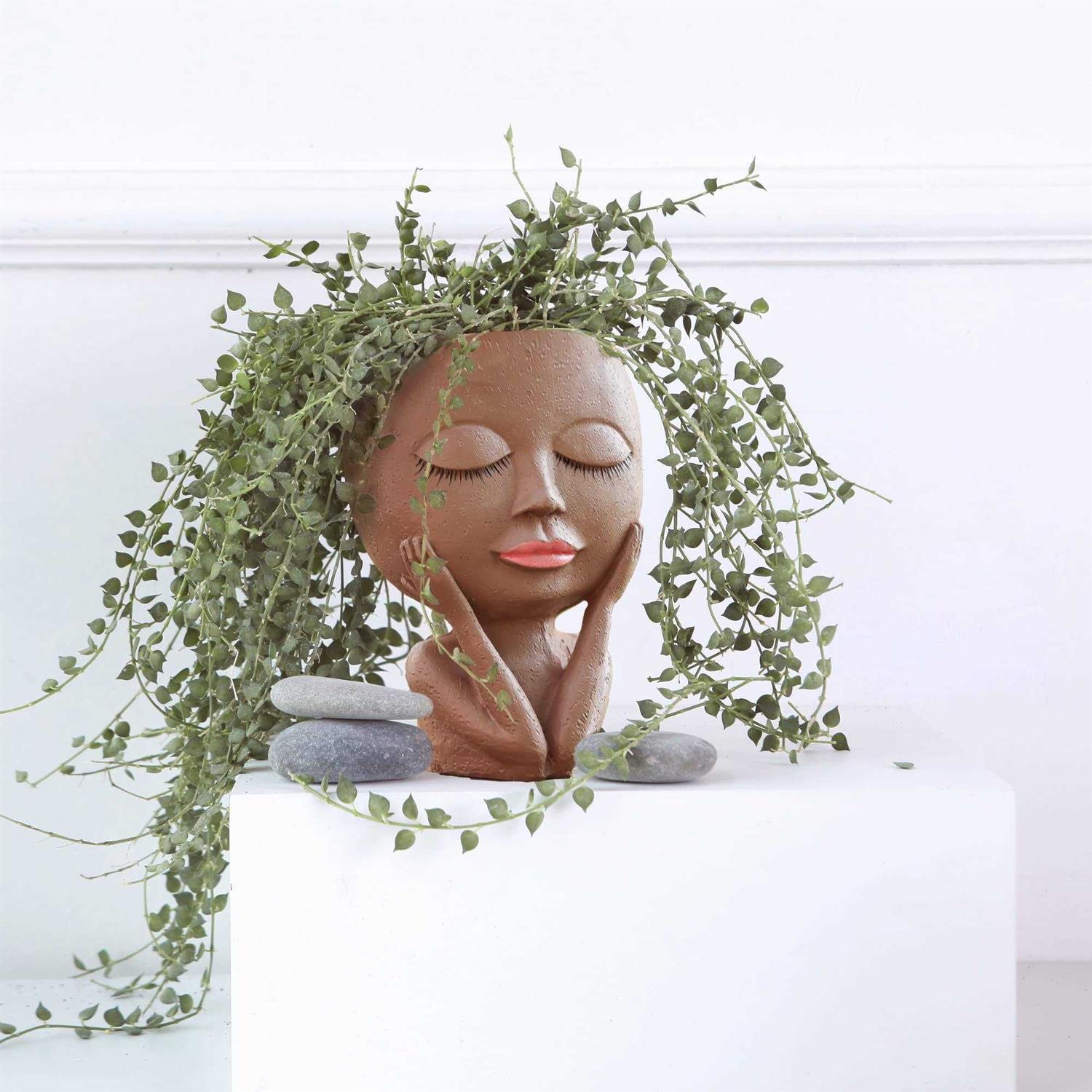 Aimebby Face Flower Pot Head Planter Pot Succulent Planter Cute Resin Cactus Planter with Drainage Hole Closed