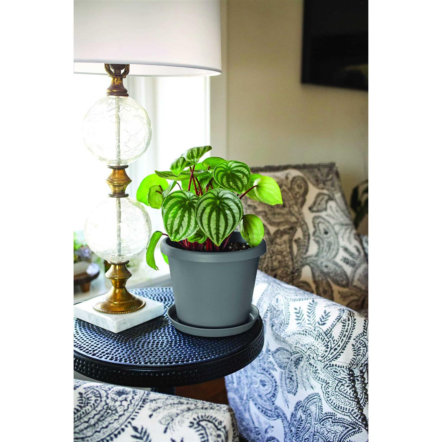 The HC Companies Round Prima Plastic Plant Saucer Indoor Outdoor Plant Trays for Pots