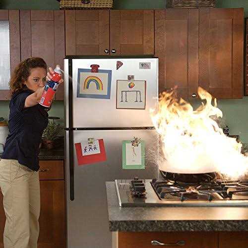 First Alert Tundra Fire Extinguishing Spray