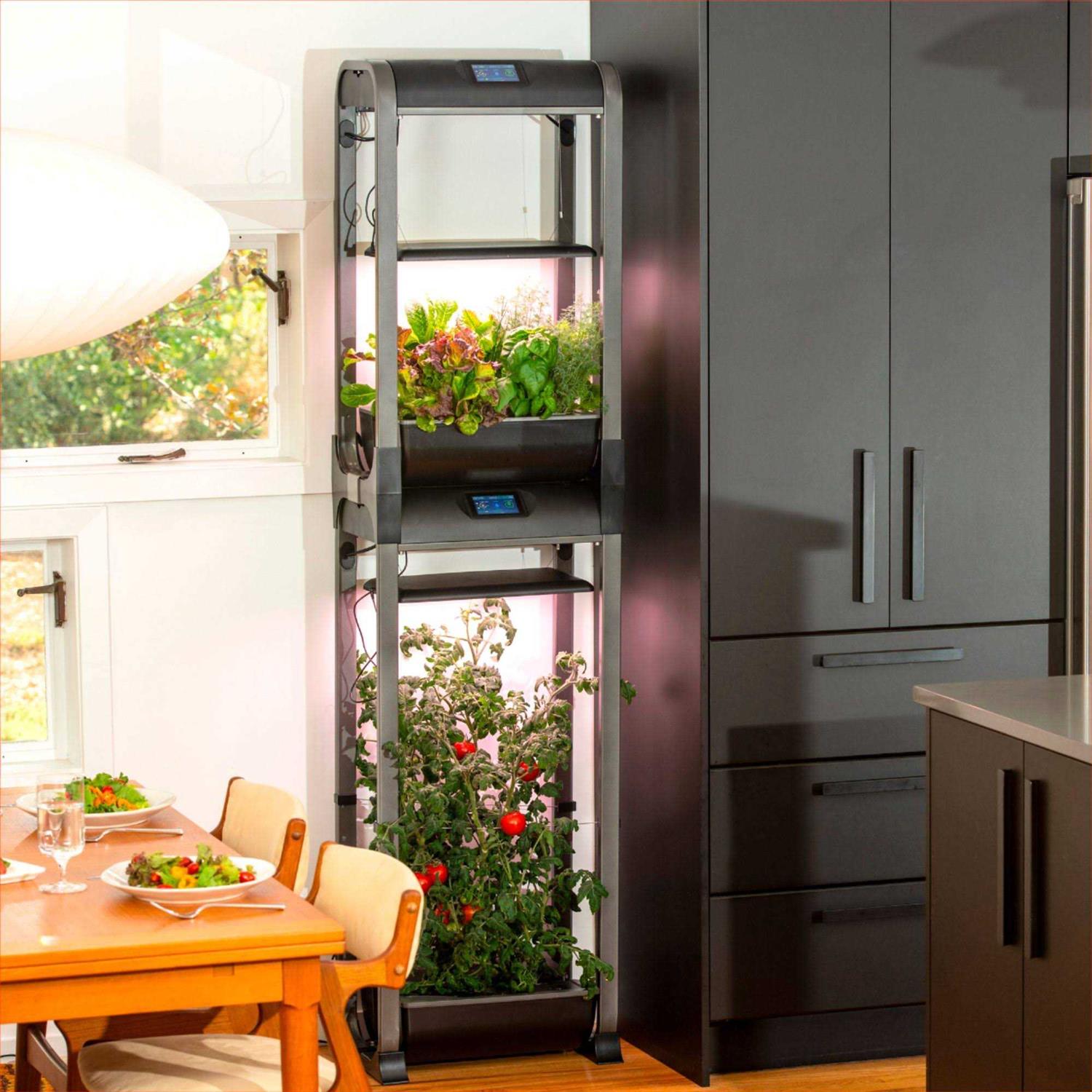 AeroGarden Farm 12XL with Salad Bar Seed Pod Kit