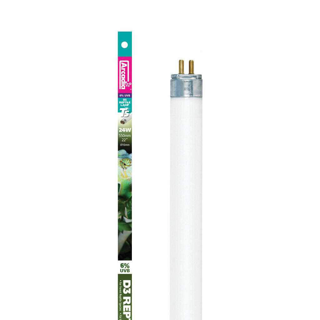 Arcadia D3 6% UVB T5 Bulb