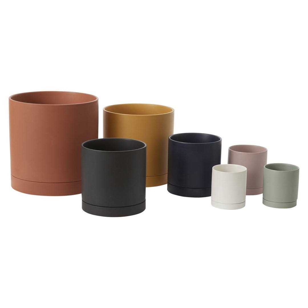 AllModern Carlotta Ceramic Pot Planter