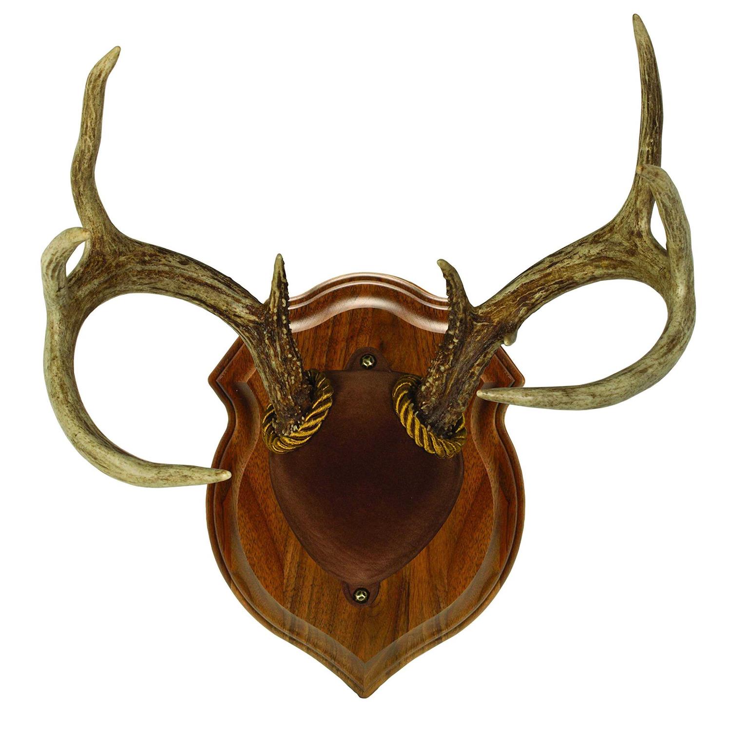 Walnut Hollow Deluxe Antler Display Kit