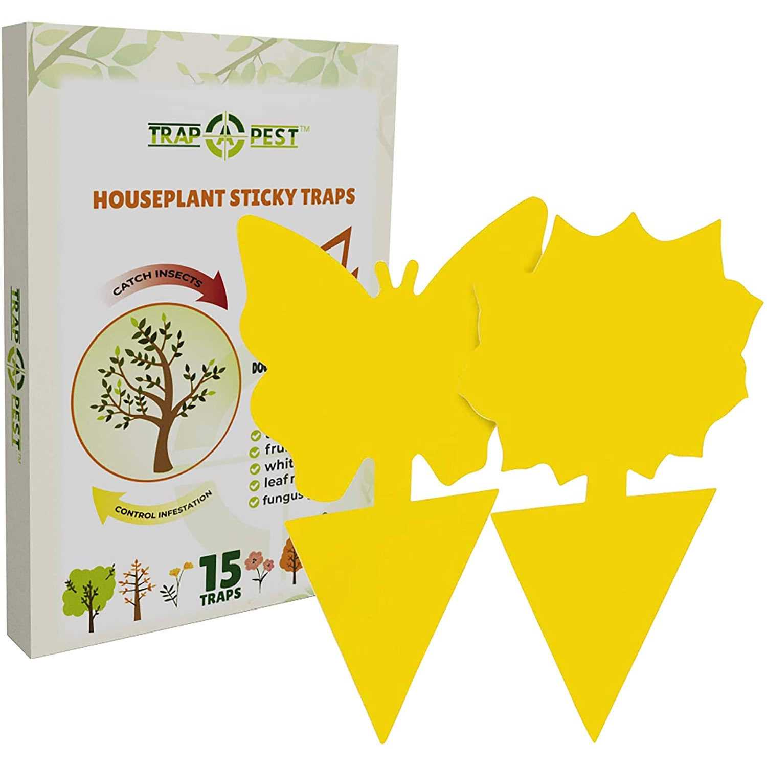 15 pcs Gnat Traps for House Indoor Fungus Gnat Sticky Traps for Plants