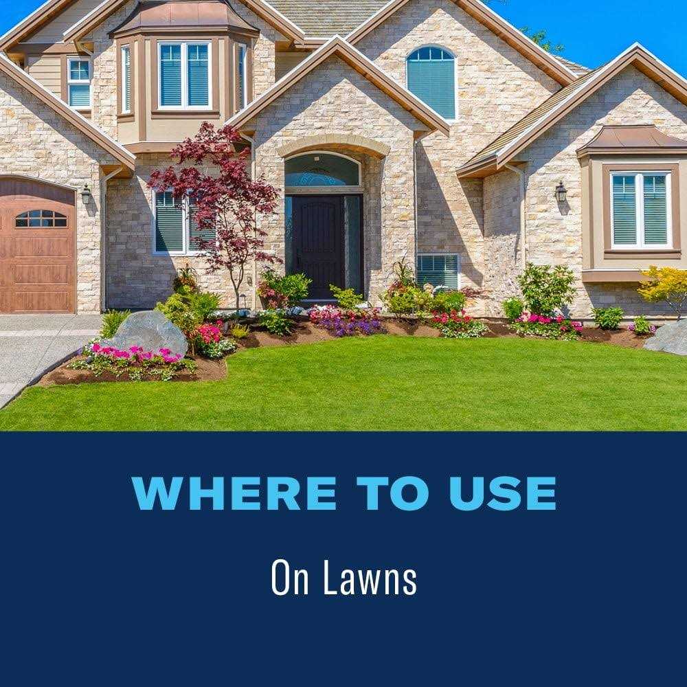 BioAdvanced Fungus Control For Lawns