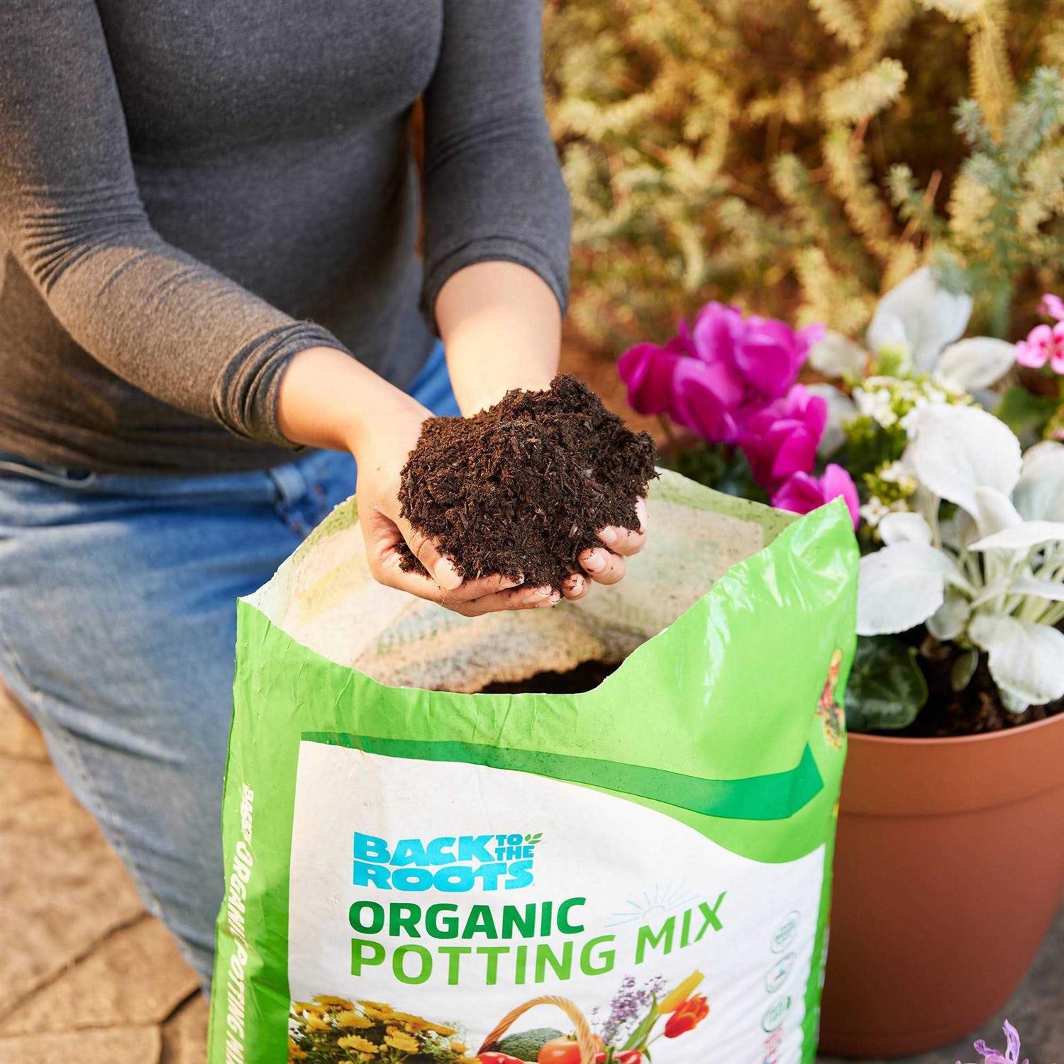 Back to the Roots Organic Potting Mix All Purpose