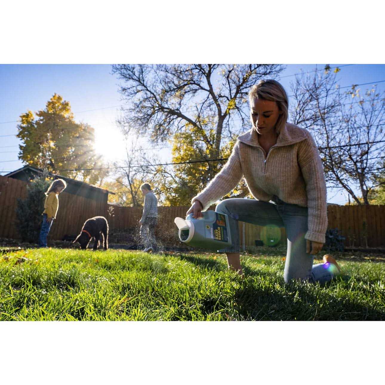 Sunday Pet Lawn Bare Repair Grass