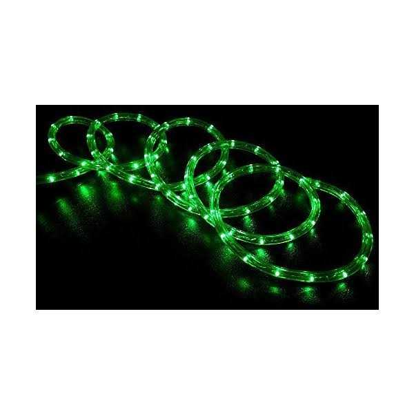 Wyzworks LED Rope Lights