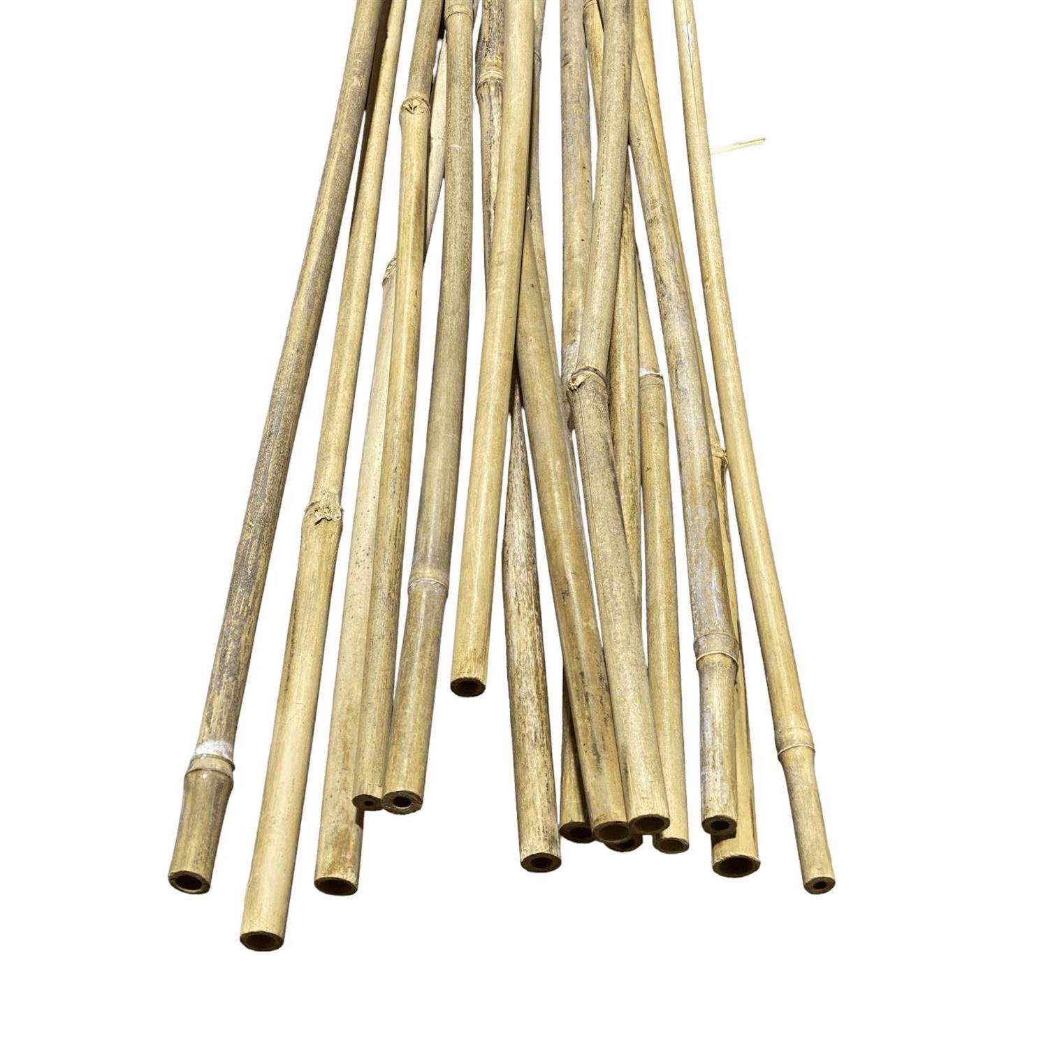 5 Tall Thick Bamboo Poles