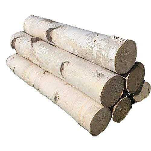 White Birch Log Set For Fireplace