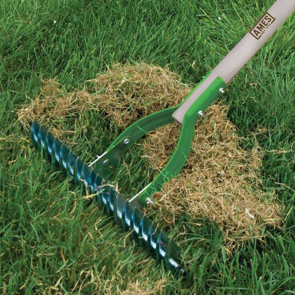 Ames 15 in. Adjustable Thatch Rake 2915100