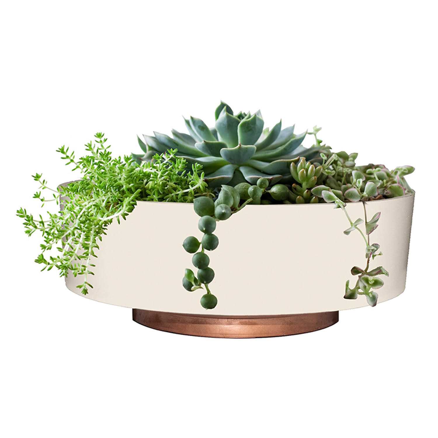 The HC Companies 6 Inch Round Capri Succulent Pot