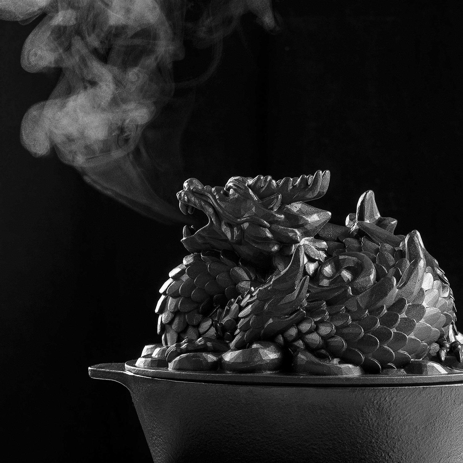 Wood Stove Steamer by Duracast Ironworks. Cast Iron Wood Burning Stove Wood Stove Humidifier