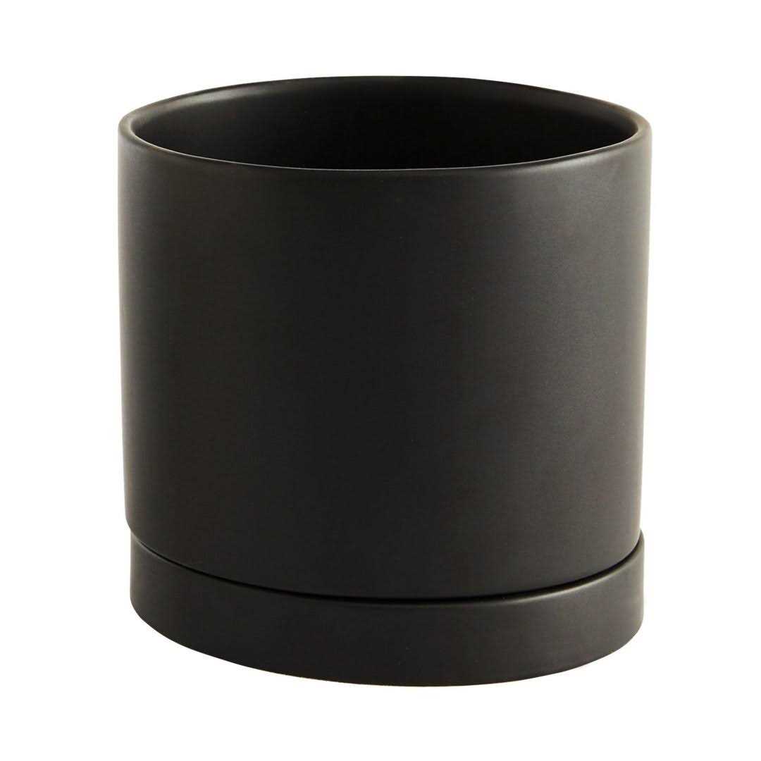AllModern Carlotta Ceramic Pot Planter