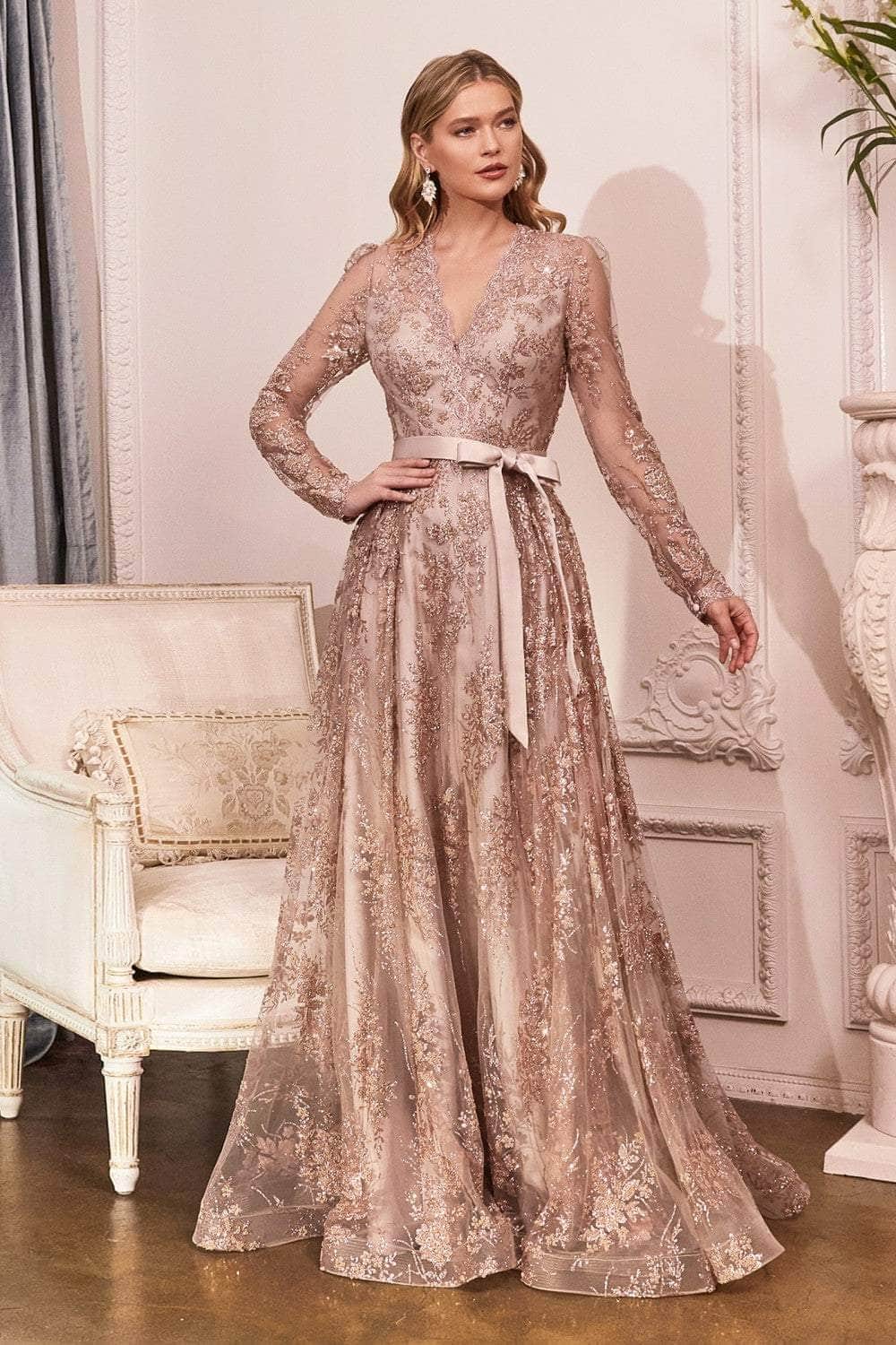 Long sleeve A-Line Gown