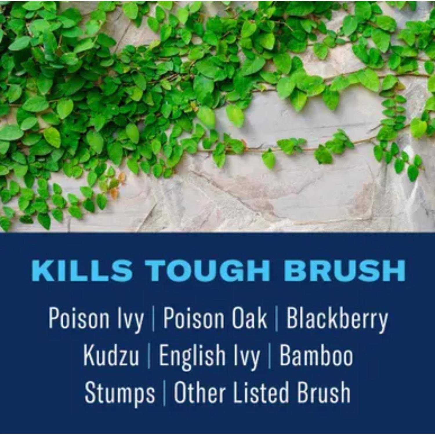 BioAdvanced Brush Killer Plus Concentrate