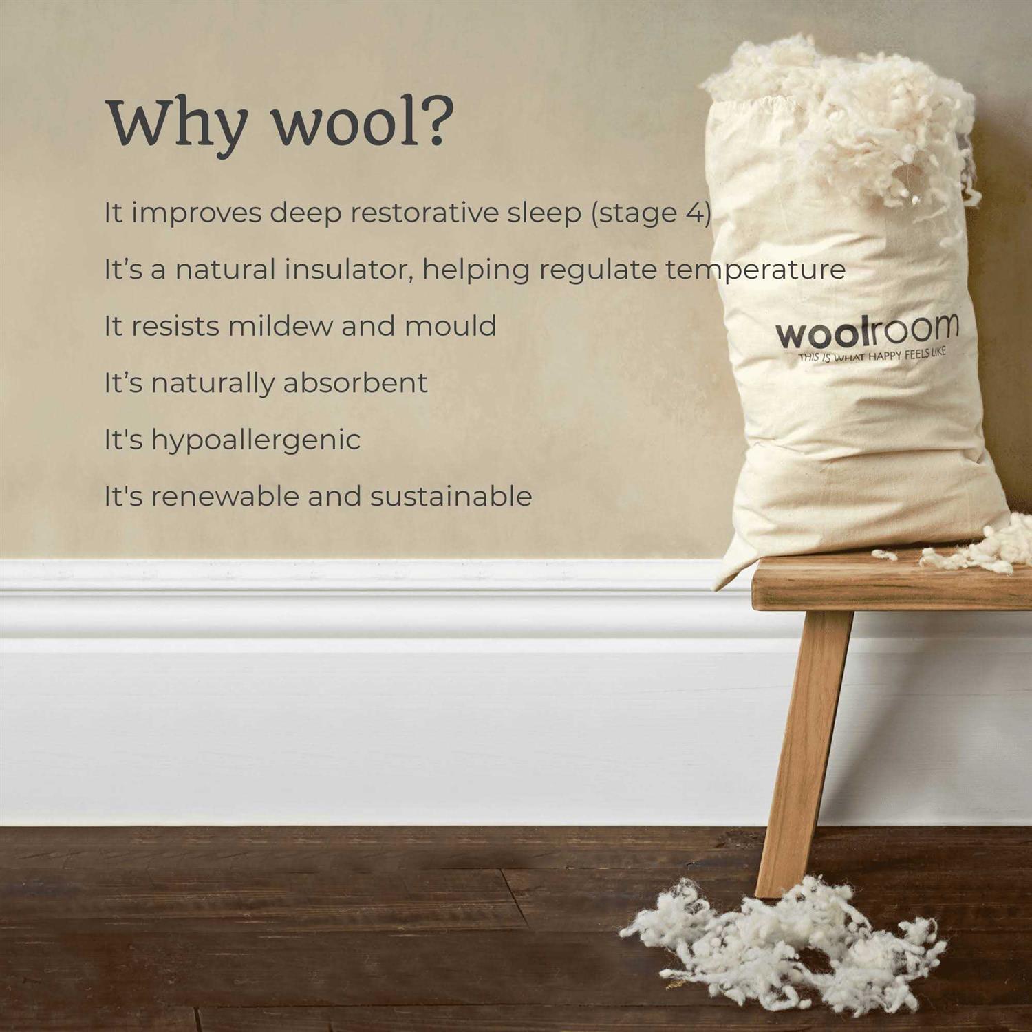 Woolroom Washable Pillow Wool