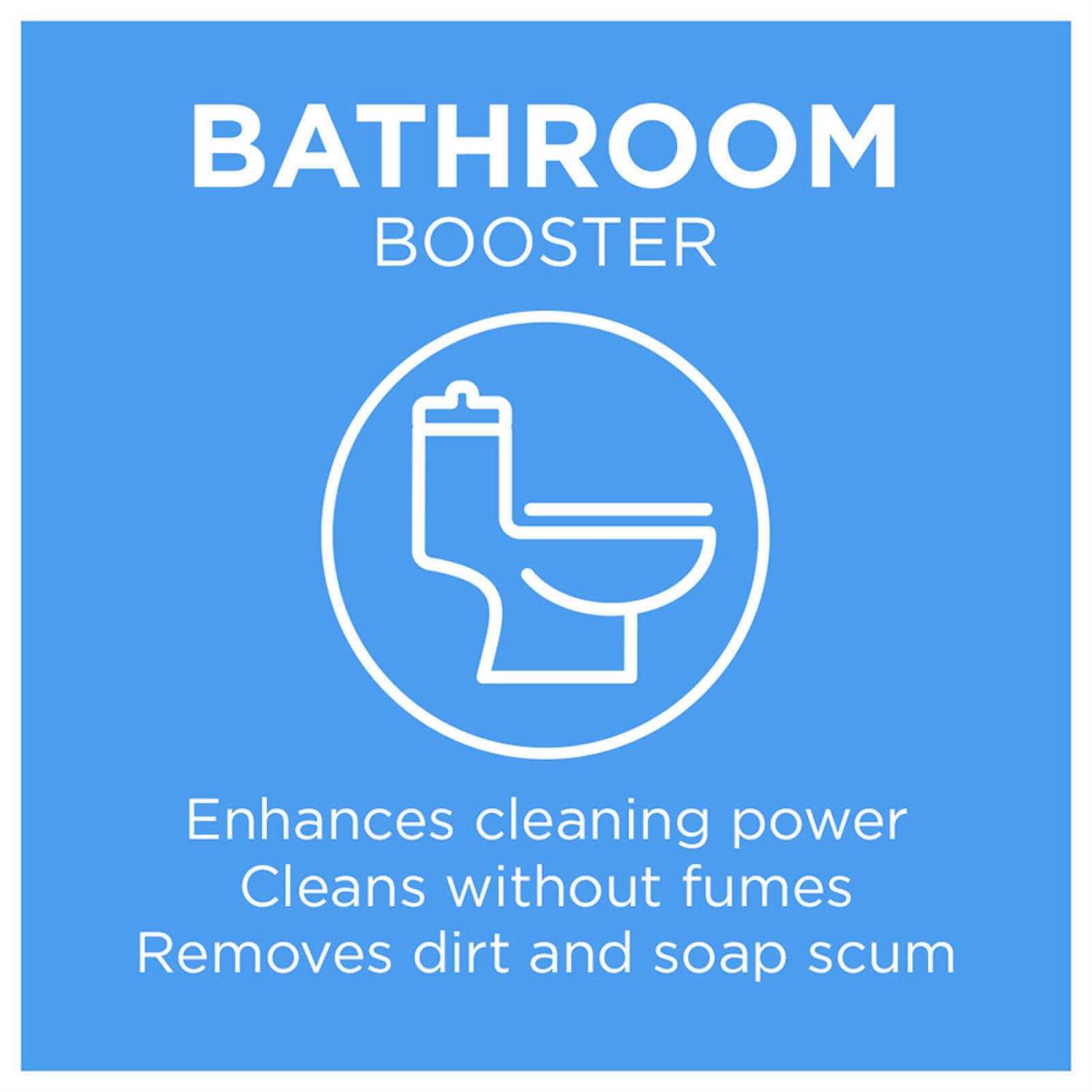 20 Mule Team Borax Booster