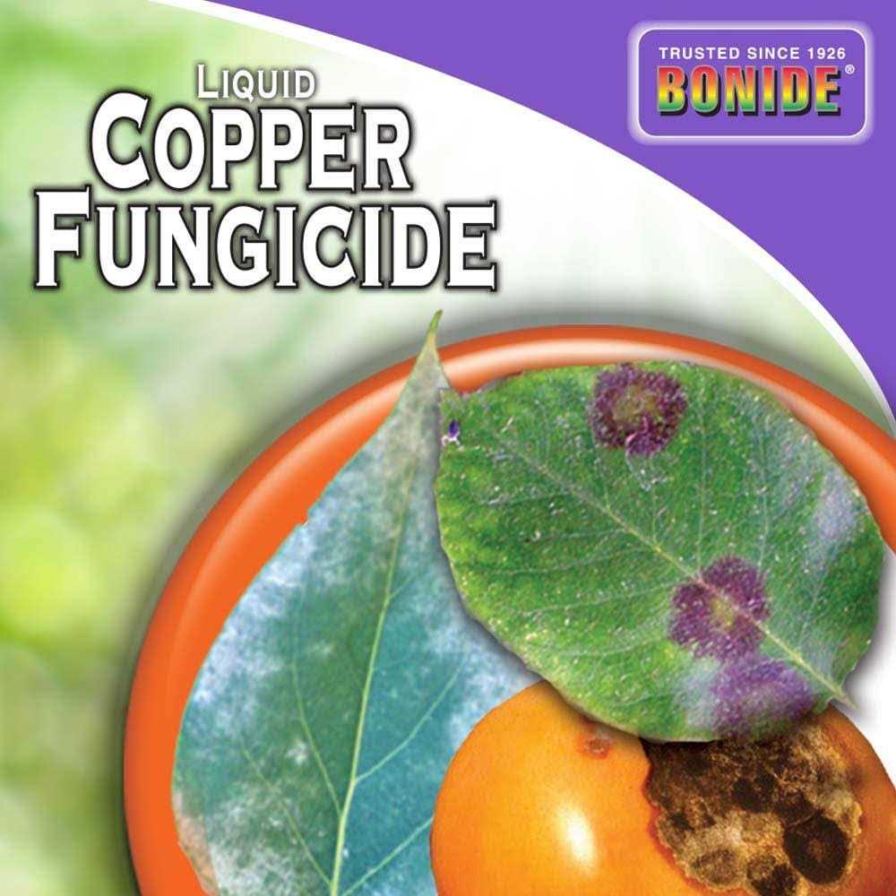 Bonide Liquid Copper Fungicide