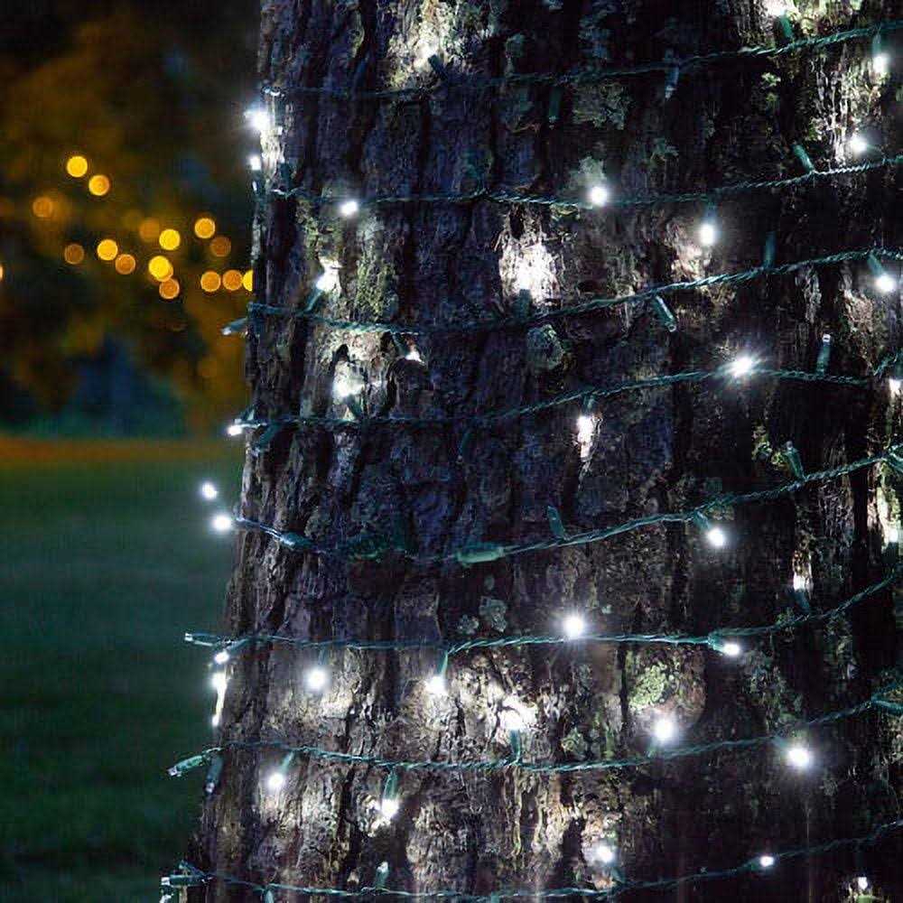 50 5mm SoftTwinkle LED Christmas Lights