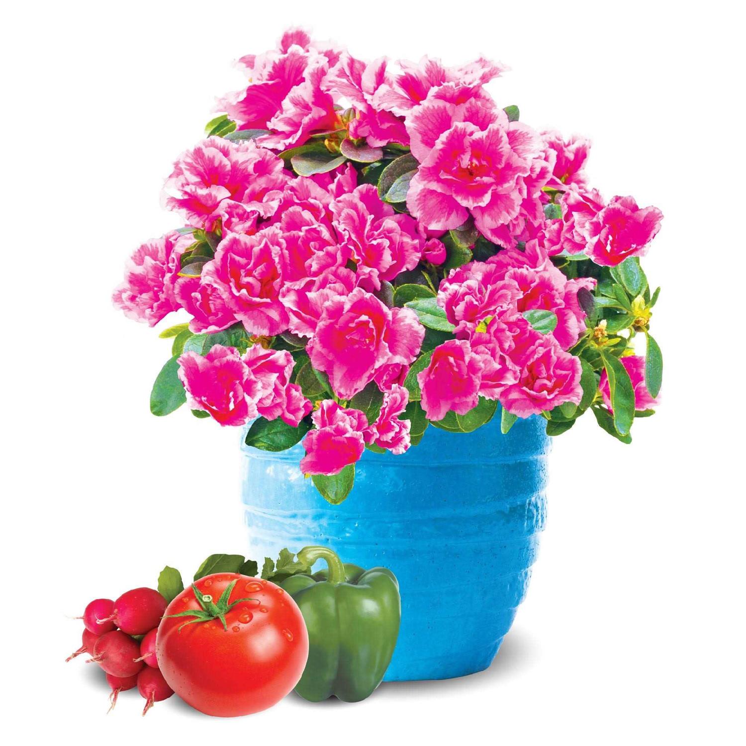 Burpee Natural & Organic 8 qt. Potting Mix