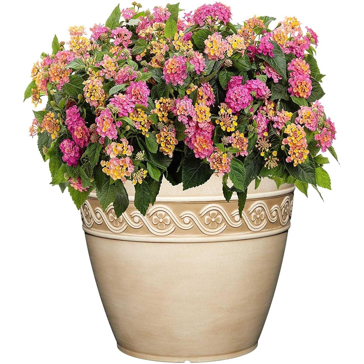Classic Home and Garden Corinthian Resin Flower Pot Planter